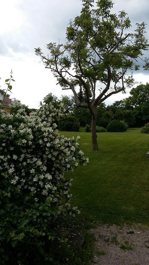 Schloss 굼폴드스키르첸 외부 사진